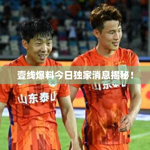壹线爆料今日独家消息揭秘！