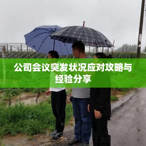 雪中送炭 第2页