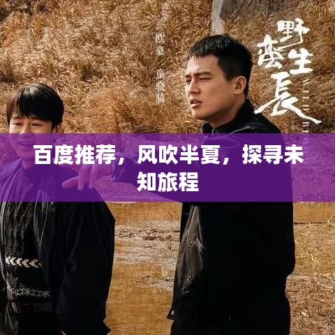 百度推荐，风吹半夏，探寻未知旅程