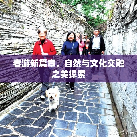 春游新篇章，自然与文化交融之美探索