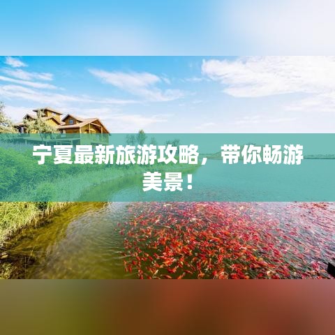宁夏最新旅游攻略，带你畅游美景！