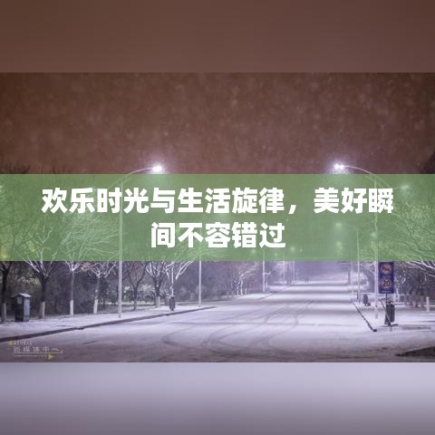 欢乐时光与生活旋律，美好瞬间不容错过