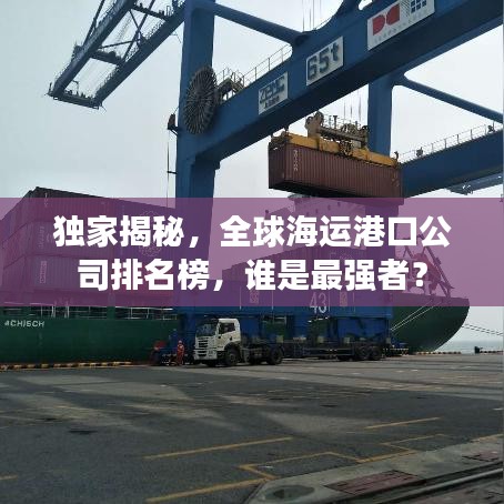 独家揭秘，全球海运港口公司排名榜，谁是最强者？