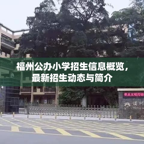 福州公办小学招生信息概览，最新招生动态与简介