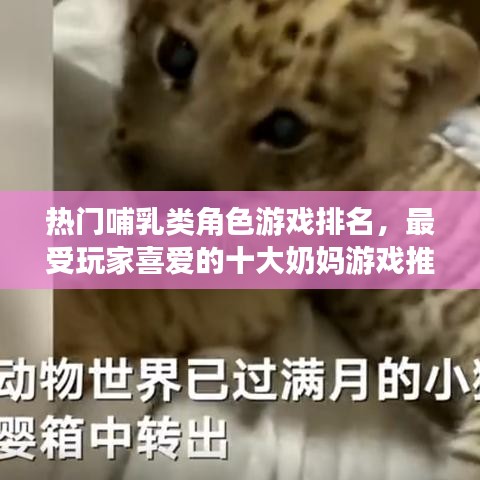 战天斗地 第2页