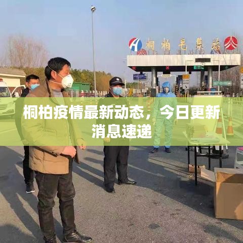 桐柏疫情最新动态，今日更新消息速递