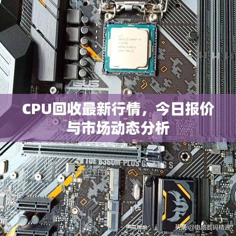 CPU回收最新行情，今日报价与市场动态分析