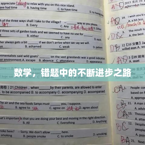 数学，错题中的不断进步之路