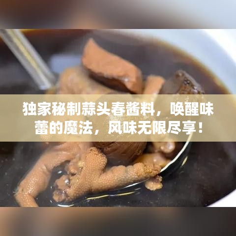 独家秘制蒜头春酱料，唤醒味蕾的魔法，风味无限尽享！