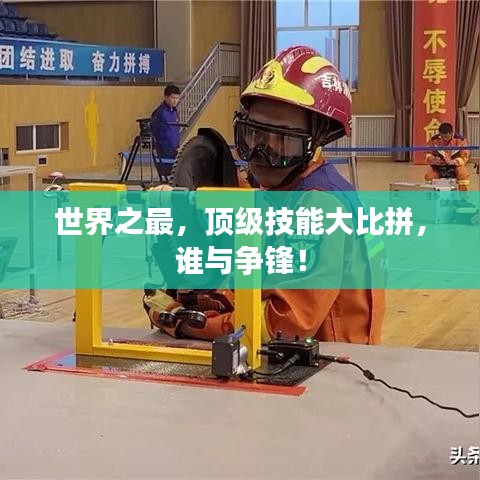 世界之最，顶级技能大比拼，谁与争锋！