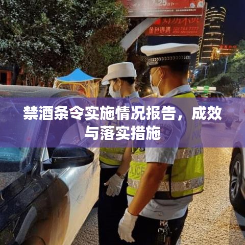 禁酒条令实施情况报告，成效与落实措施