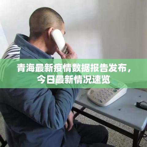 青海最新疫情数据报告发布，今日最新情况速览