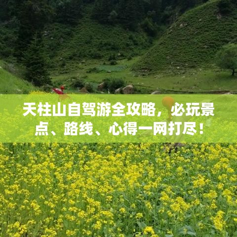 天柱山自驾游全攻略，必玩景点、路线、心得一网打尽！