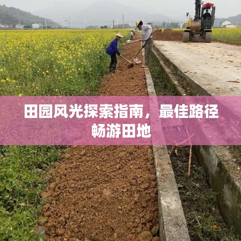 田园风光探索指南，最佳路径畅游田地