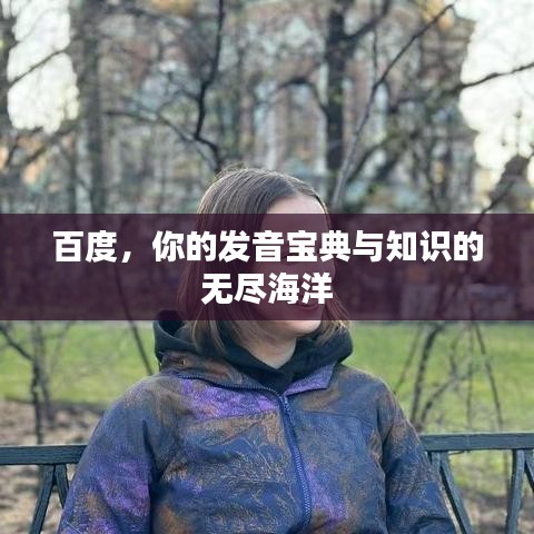 百度，你的发音宝典与知识的无尽海洋