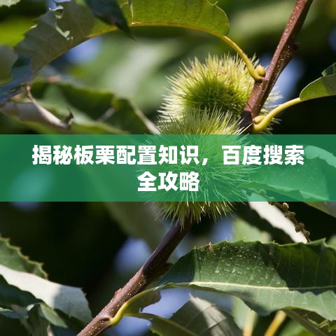 揭秘板栗配置知识，百度搜索全攻略