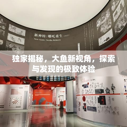 独家揭秘，大鱼新视角，探索与发现的极致体验