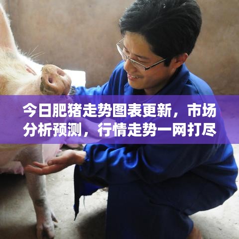 今日肥猪走势图表更新，市场分析预测，行情走势一网打尽！