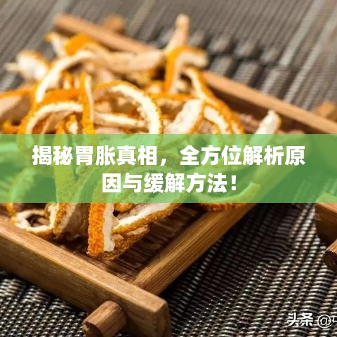揭秘胃胀真相，全方位解析原因与缓解方法！