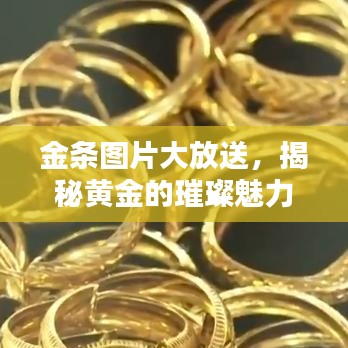 草率从事 第2页