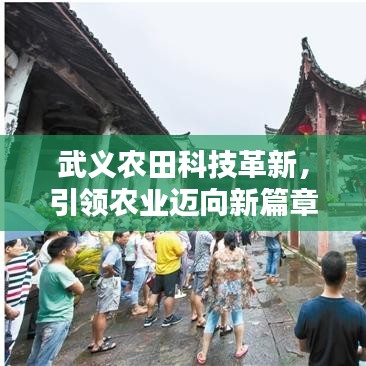 武义农田科技革新，引领农业迈向新篇章