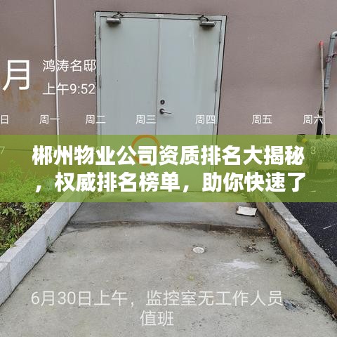 郴州物业公司资质排名大揭秘，权威排名榜单，助你快速了解优质服务企业！
