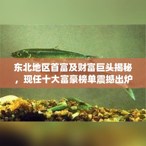 回眸最初 第2页