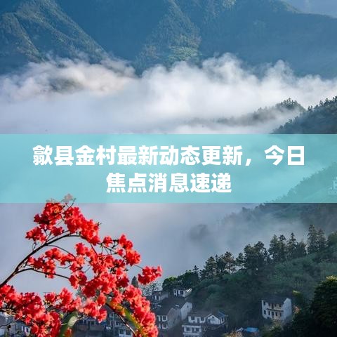 歙县金村最新动态更新，今日焦点消息速递