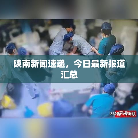 陕南新闻速递，今日最新报道汇总
