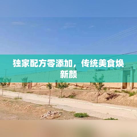 独家配方零添加，传统美食焕新颜