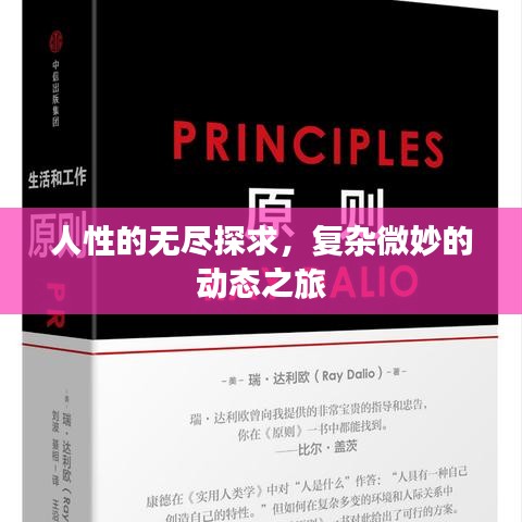 人性的无尽探求，复杂微妙的动态之旅