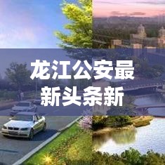 龙江公安最新头条新闻，一睹为快！
