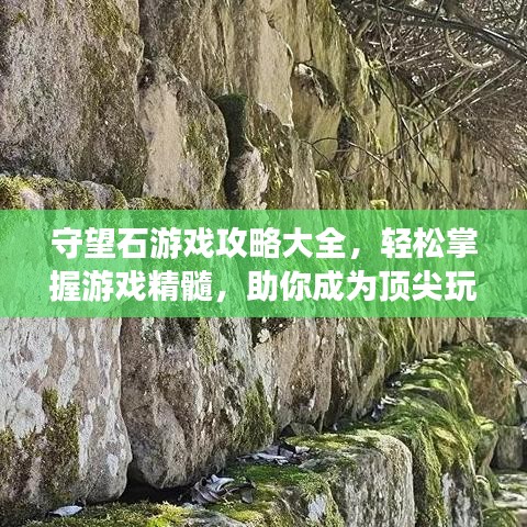 守望石游戏攻略大全，轻松掌握游戏精髓，助你成为顶尖玩家