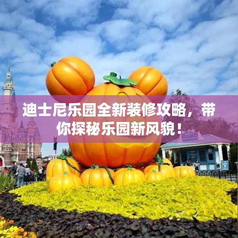 迪士尼乐园全新装修攻略，带你探秘乐园新风貌！