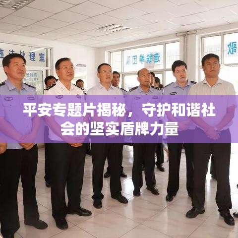 平安专题片揭秘，守护和谐社会的坚实盾牌力量