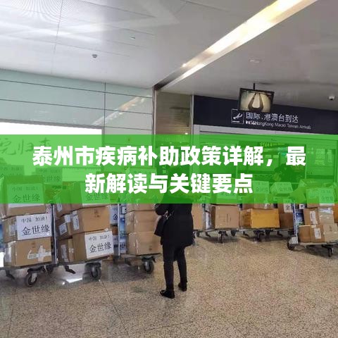 泰州市疾病补助政策详解，最新解读与关键要点