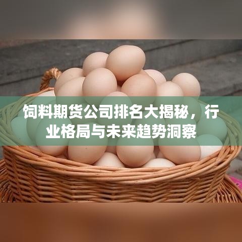 饲料期货公司排名大揭秘，行业格局与未来趋势洞察