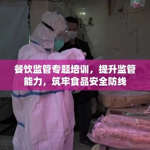 餐饮监管专题培训，提升监管能力，筑牢食品安全防线