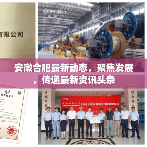 安徽合肥最新动态，聚焦发展，传递最新资讯头条