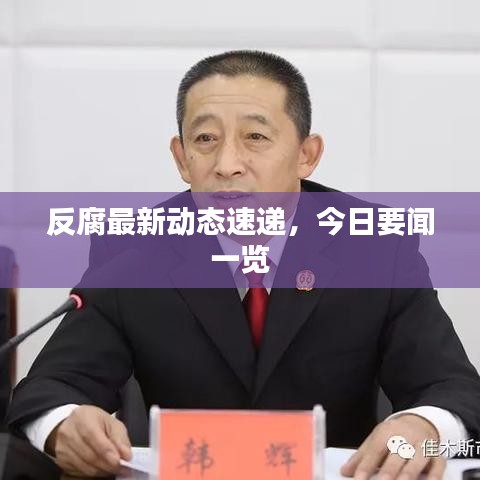 反腐最新动态速递，今日要闻一览