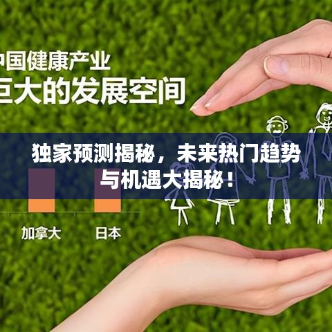 独家预测揭秘，未来热门趋势与机遇大揭秘！