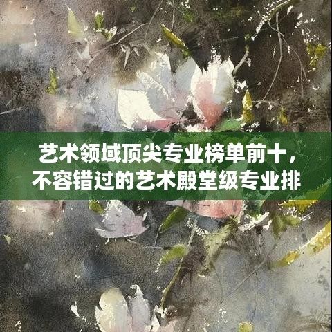 艺术领域顶尖专业榜单前十，不容错过的艺术殿堂级专业排名！