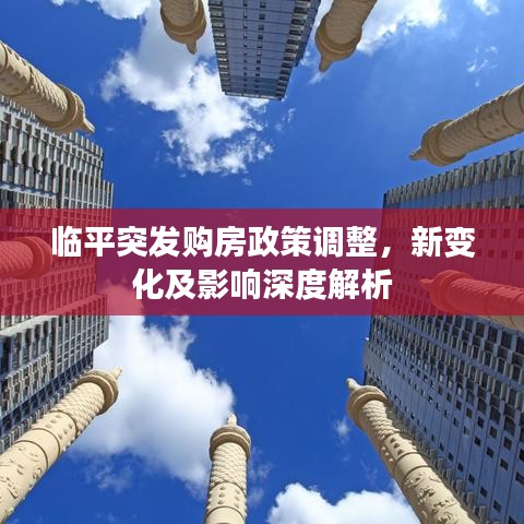 临平突发购房政策调整，新变化及影响深度解析