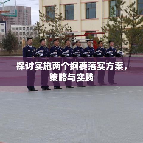 探讨实施两个纲要落实方案，策略与实践