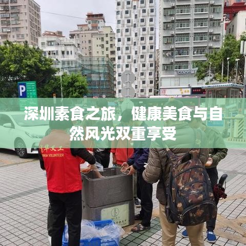 深圳素食之旅，健康美食与自然风光双重享受