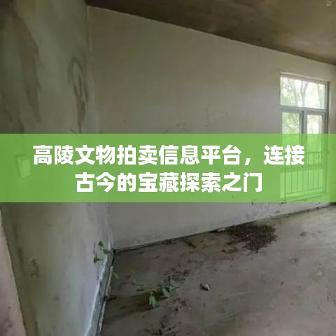 高陵文物拍卖信息平台，连接古今的宝藏探索之门