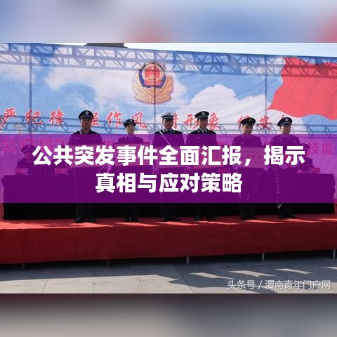 公共突发事件全面汇报，揭示真相与应对策略