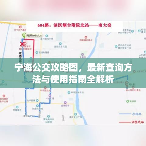 宁海公交攻略图，最新查询方法与使用指南全解析