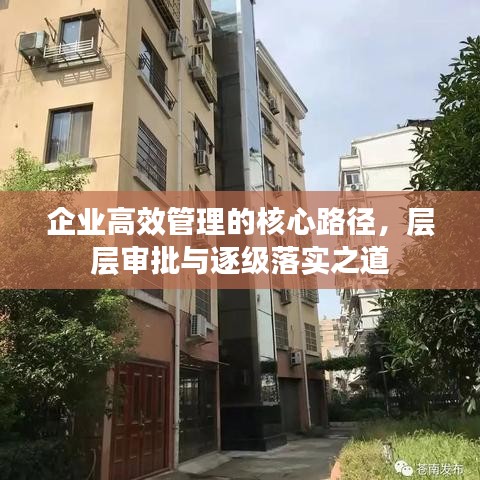 企业高效管理的核心路径，层层审批与逐级落实之道