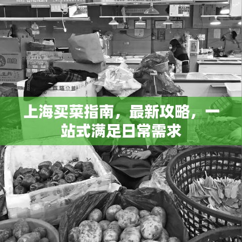 上海买菜指南，最新攻略，一站式满足日常需求